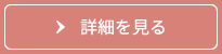 詳細を見る