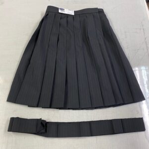 image:制服プリーツスカート/完成